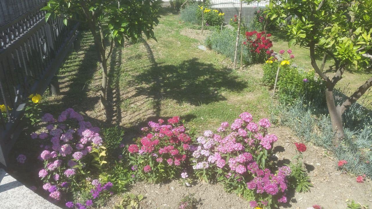 Guesthouse Kodre Ulcinj Eksteriør billede